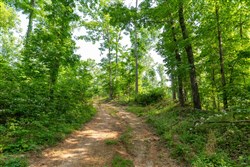 property photo for Cedar Creek Tract 46, 8.9 acres for sale in Perry County, Tennessee