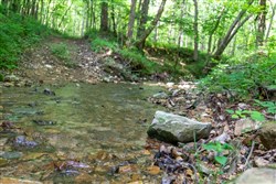 property photo for Cedar Creek Tract 47, 5.36 acres for sale in Perry County, Tennessee