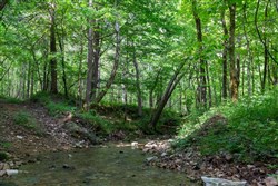 property photo for Cedar Creek Tract 47, 5.36 acres for sale in Perry County, Tennessee