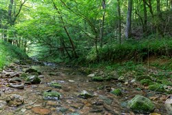property photo for Cedar Creek Tract 47, 5.36 acres for sale in Perry County, Tennessee