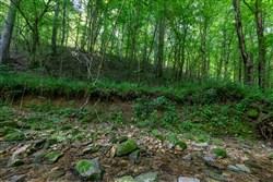 property photo for Cedar Creek Tract 47, 5.36 acres for sale in Perry County, Tennessee