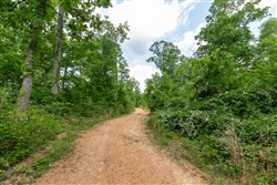 property photo for Cedar Creek Tract 48, 5.39 acres for sale in Perry County, Tennessee