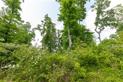 property photo for Cedar Creek Tract 48, 5.39 acres for sale in Perry County, Tennessee
