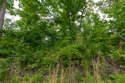 property photo for Cedar Creek Tract 48, 5.39 acres for sale in Perry County, Tennessee