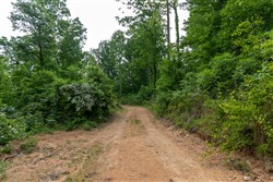 property photo for Cedar Creek Tract 48, 5.39 acres for sale in Perry County, Tennessee