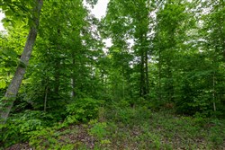 property photo for Cedar Creek Tract 48, 5.39 acres for sale in Perry County, Tennessee