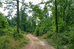 property photo for Cedar Creek Tract 49, 6.14 acres for sale in Perry County, Tennessee