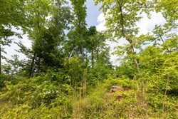 property photo for Cedar Creek Tract 49, 6.14 acres for sale in Perry County, Tennessee