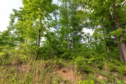 property photo for Cedar Creek Tract 49, 6.14 acres for sale in Perry County, Tennessee