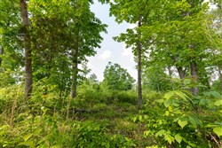 property photo for Cedar Creek Tract 49, 6.14 acres for sale in Perry County, Tennessee