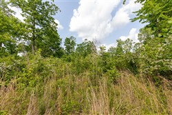 property photo for Cedar Creek Tract 49, 6.14 acres for sale in Perry County, Tennessee