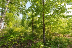 property photo for Cedar Creek Tract 5, 5.53 acres for sale in Perry County, Tennessee