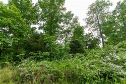 property photo for Cedar Creek Tract 5, 5.53 acres for sale in Perry County, Tennessee