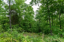 property photo for Cedar Creek Tract 5, 5.53 acres for sale in Perry County, Tennessee