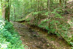 property photo for Cedar Creek Tract 50, 6.08 acres for sale in Perry County, Tennessee