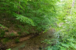 property photo for Cedar Creek Tract 50, 6.08 acres for sale in Perry County, Tennessee