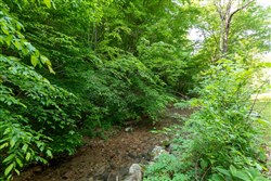 property photo for Cedar Creek Tract 50, 6.08 acres for sale in Perry County, Tennessee