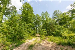 property photo for Cedar Creek Tract 50, 6.08 acres for sale in Perry County, Tennessee