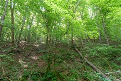 property photo for Cedar Creek Tract 50, 6.08 acres for sale in Perry County, Tennessee