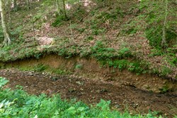 property photo for Cedar Creek Tract 51, 5.83 acres for sale in Perry County, Tennessee