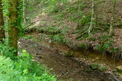 property photo for Cedar Creek Tract 51, 5.83 acres for sale in Perry County, Tennessee