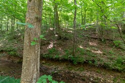 property photo for Cedar Creek Tract 51, 5.83 acres for sale in Perry County, Tennessee