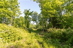 property photo for Cedar Creek Tract 53, 5.29 acres for sale in Perry County, Tennessee