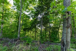 property photo for Cedar Creek Tract 53, 5.29 acres for sale in Perry County, Tennessee
