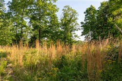 property photo for Cedar Creek Tract 53, 5.29 acres for sale in Perry County, Tennessee