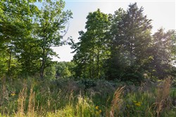 property photo for Cedar Creek Tract 53, 5.29 acres for sale in Perry County, Tennessee