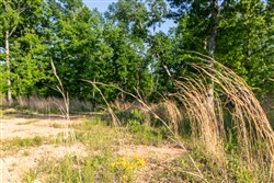 property photo for Cedar Creek Tract 53, 5.29 acres for sale in Perry County, Tennessee