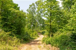 property photo for Cedar Creek Tract 54, 5.44 acres for sale in Perry County, Tennessee