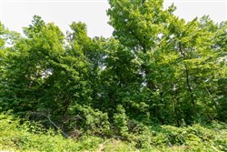 property photo for Cedar Creek Tract 54, 5.44 acres for sale in Perry County, Tennessee