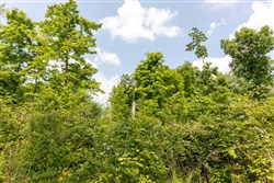 property photo for Cedar Creek Tract 54, 5.44 acres for sale in Perry County, Tennessee