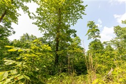 property photo for Cedar Creek Tract 54, 5.44 acres for sale in Perry County, Tennessee