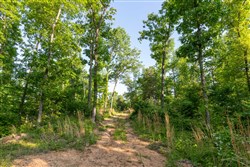 property photo for Cedar Creek Tract 55, 5.15 acres for sale in Perry County, Tennessee