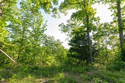 property photo for Cedar Creek Tract 55, 5.15 acres for sale in Perry County, Tennessee