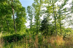 property photo for Cedar Creek Tract 55, 5.15 acres for sale in Perry County, Tennessee