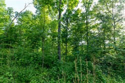 property photo for Cedar Creek Tract 55, 5.15 acres for sale in Perry County, Tennessee