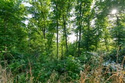 property photo for Cedar Creek Tract 55, 5.15 acres for sale in Perry County, Tennessee
