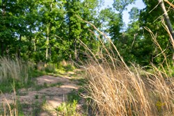 property photo for Cedar Creek Tract 55, 5.15 acres for sale in Perry County, Tennessee