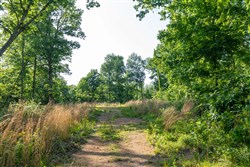 property photo for Cedar Creek Tract 56, 7.06 acres for sale in Perry County, Tennessee