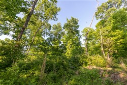 property photo for Cedar Creek Tract 56, 7.06 acres for sale in Perry County, Tennessee