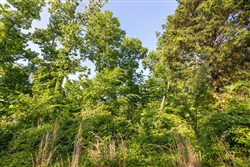 property photo for Cedar Creek Tract 56, 7.06 acres for sale in Perry County, Tennessee