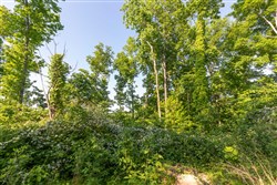 property photo for Cedar Creek Tract 56, 7.06 acres for sale in Perry County, Tennessee