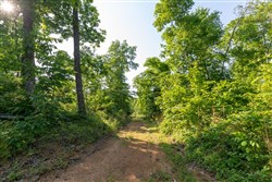 Cedar Creek Tract 57