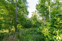 Cedar Creek Tract 57