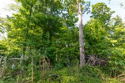 Cedar Creek Tract 57