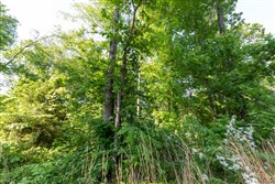 Cedar Creek Tract 57