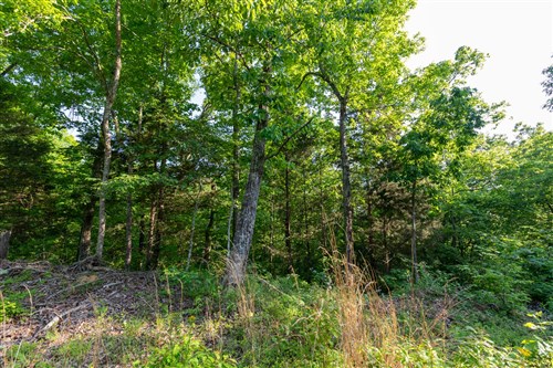 Cedar Creek Tract 58